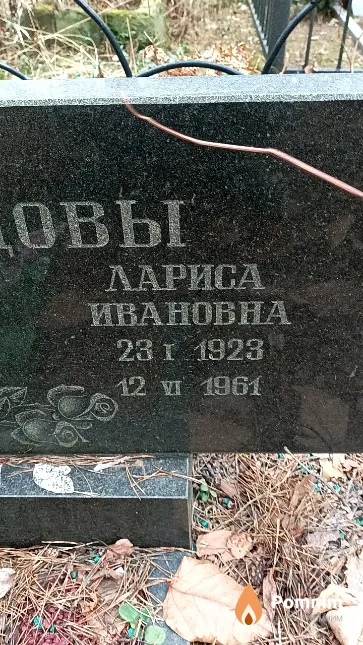 Давыдова Лариса Ивановна