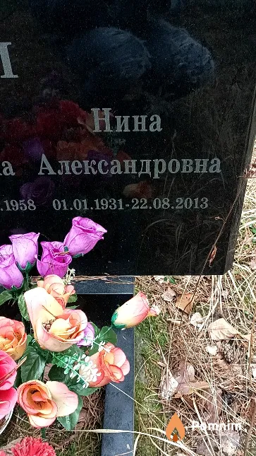 Бабей Нина Александровна
