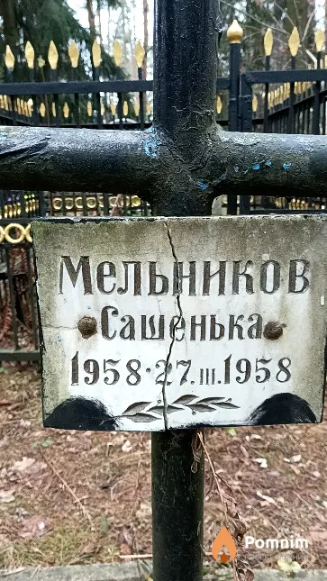 Мельников Александр