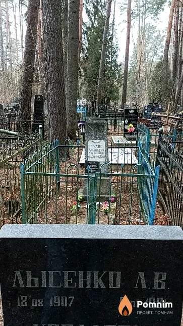 Лысенко Л. В.