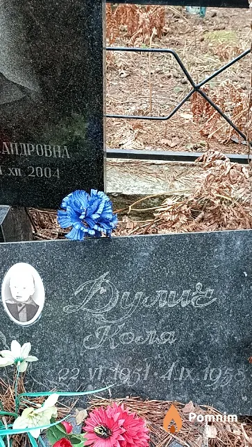 Дулич Николай