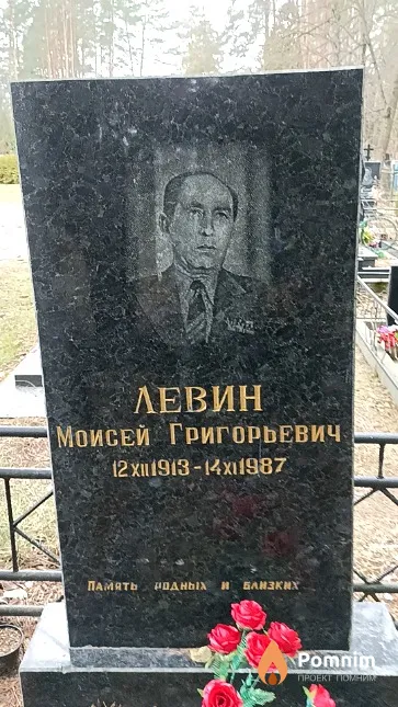 Левин Моисей Григорьевич