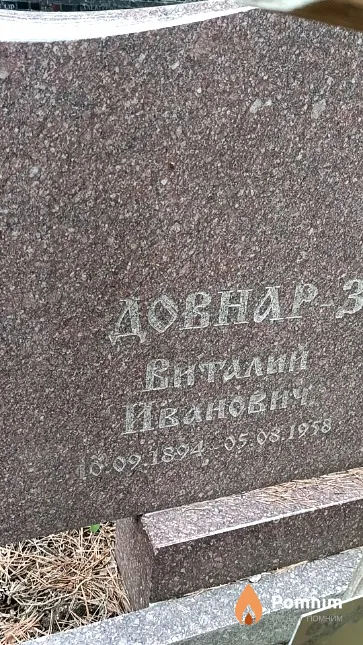 Довнар-Запольский Виталий Иванович