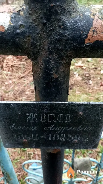 Жогло Елена Андреевна