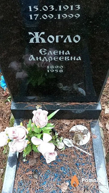 Жогло Елена Андреевна