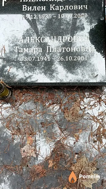 Александрович Тамара Платоновна