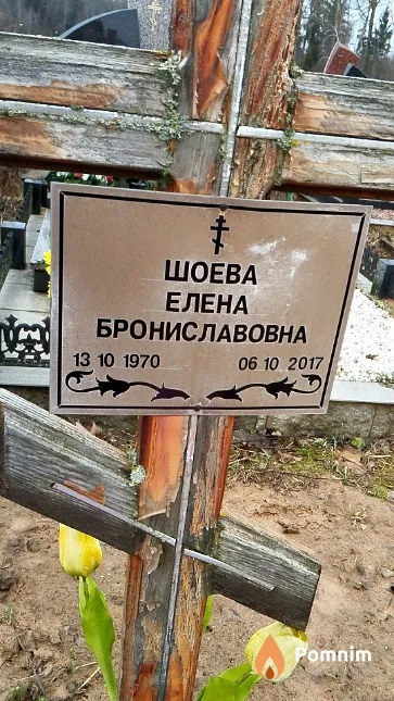Шоева Елена Брониславовна