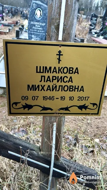 Шмакова Лариса Михайловна