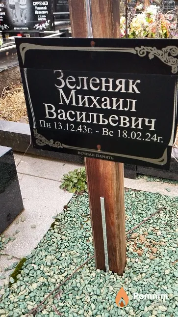 Зеленяк Михаил Васильевич