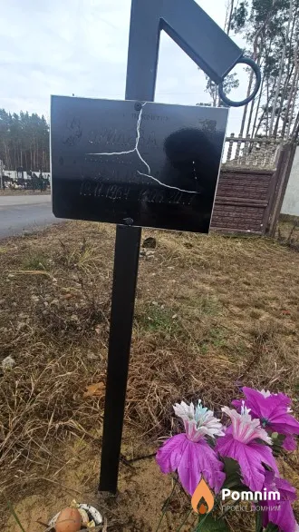 Брилева Наталья Борисовна