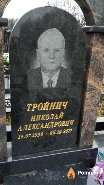 Тройнич Николай Александрович