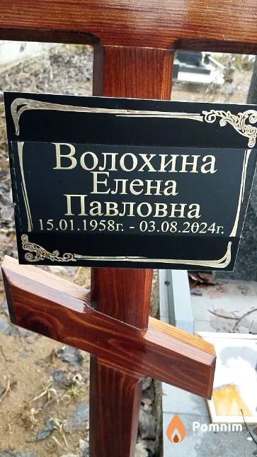 Волохина Елена Павловна