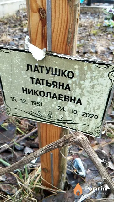 Латушко Татьяна Николаевна