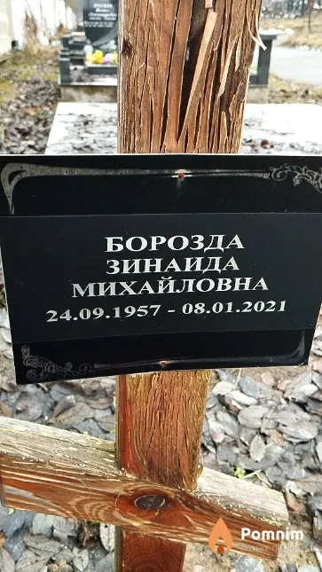 Борозда Зинаида Михайловна