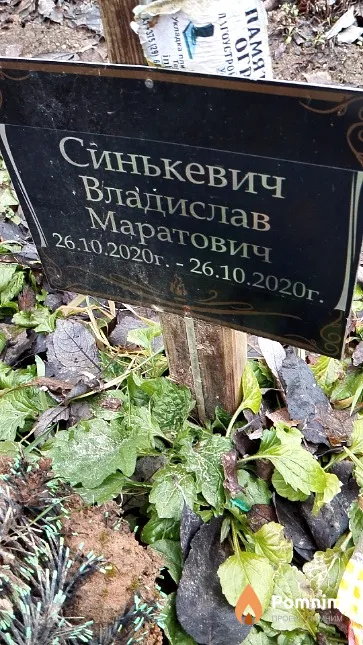 Синькевич Владислав Маратович