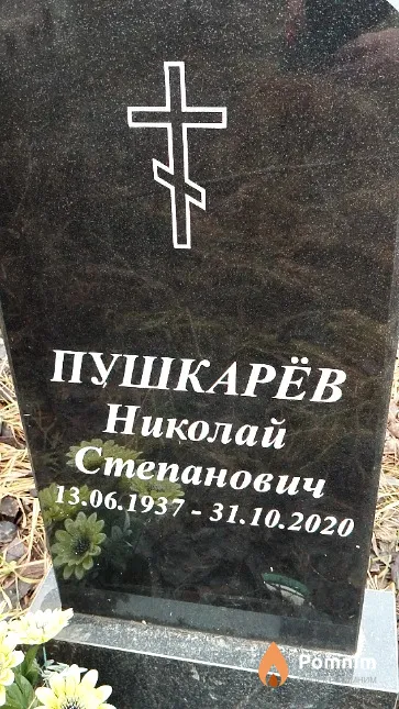 Пушкарёв Николай Степанович