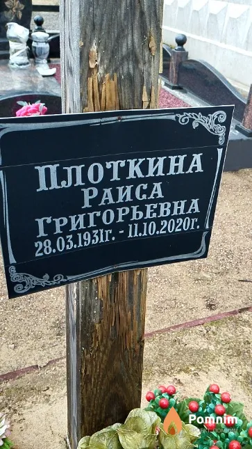 Плоткина Раиса Григорьевна