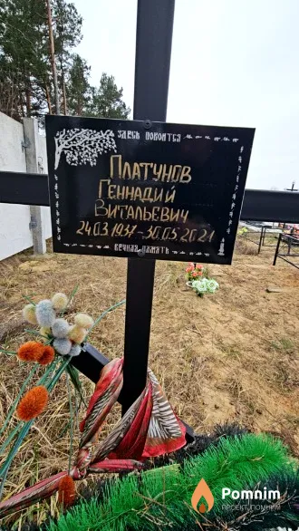 Платунов Геннадий Витальевич