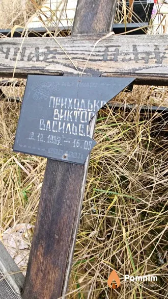 Приходьк Виктор Васильевич
