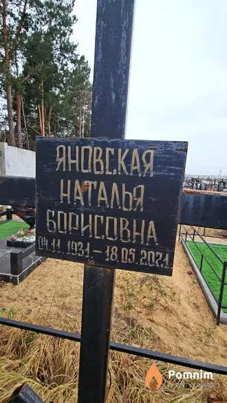 Яновская Наталья Борисовна