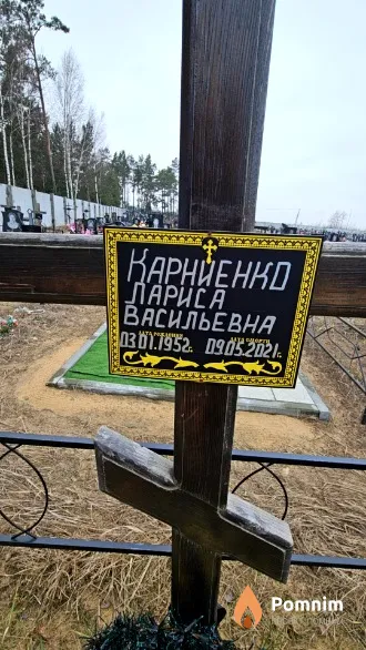 Карниенко Лариса Васильевна