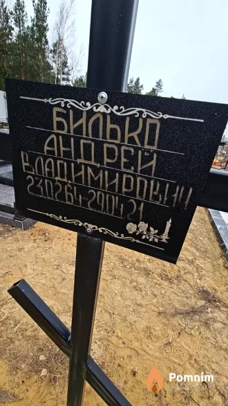 Билько Андрей Владимирович