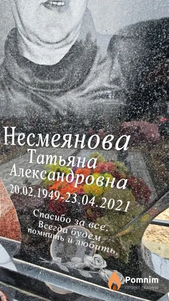 Несмеянова Татьяна Александровна