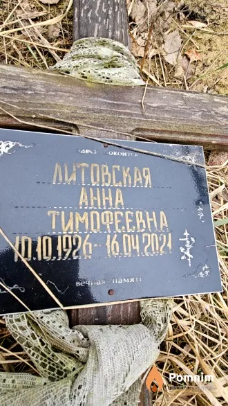 Литовская Анна Тимофеевна