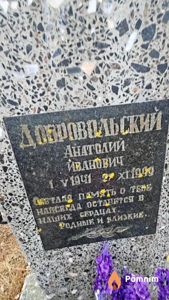 Добровольский Анатолий Иванович