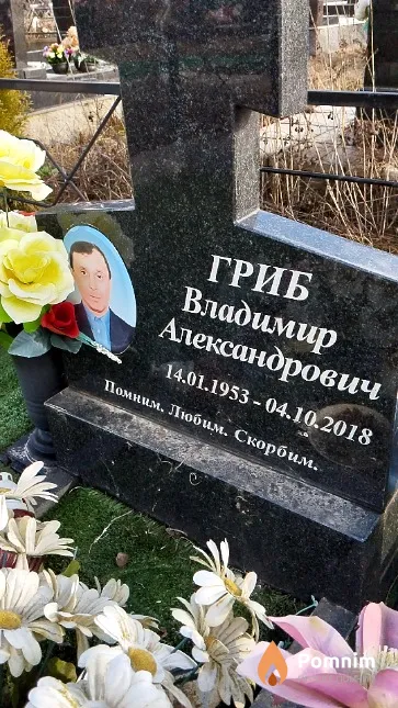 Гриб Владимир Александрович