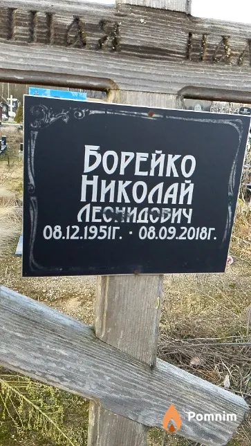 Борейко Николай Леонидович