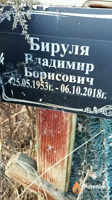 Бируля Владимир Борисович