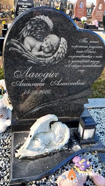 Лагодич Ангелина Алексеевна