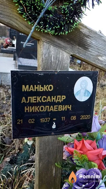 Манько Александр Николаевич