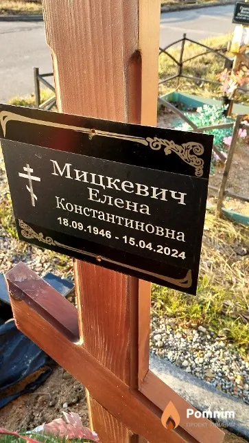 Мицкевич Елена Константиновна