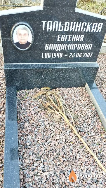 Тальвинская Евгения Владимировна