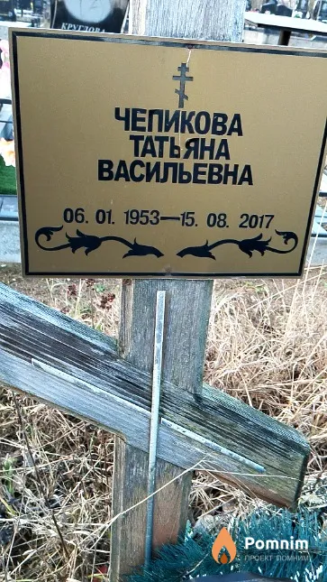 Чепикова Татьяна Васильевна