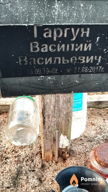 Гаргун Василий Васильевич