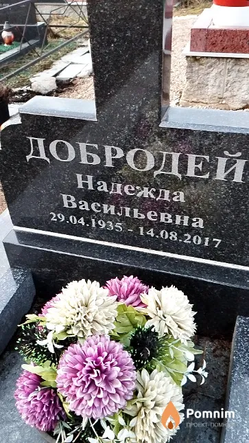 Добродей Надежда Васильевна