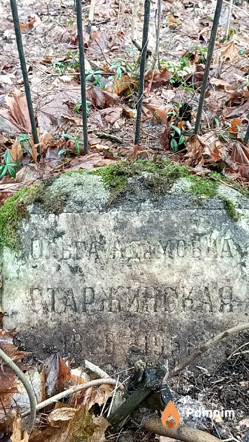 Старжинская Ольга Адамовна