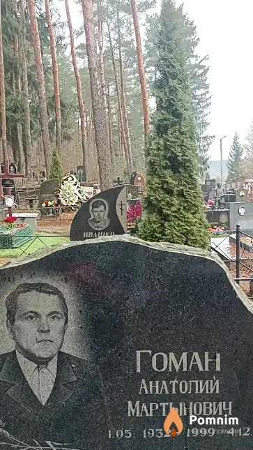 Гоман Анатолий Мартынович