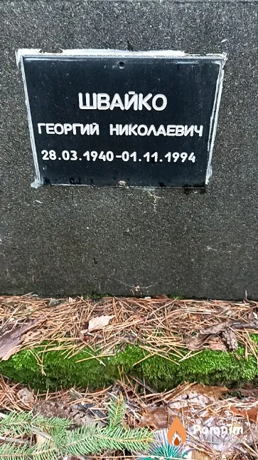 Швайко Георгий Николаевич