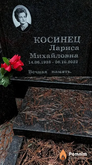 Косинец Лариса Михайловна