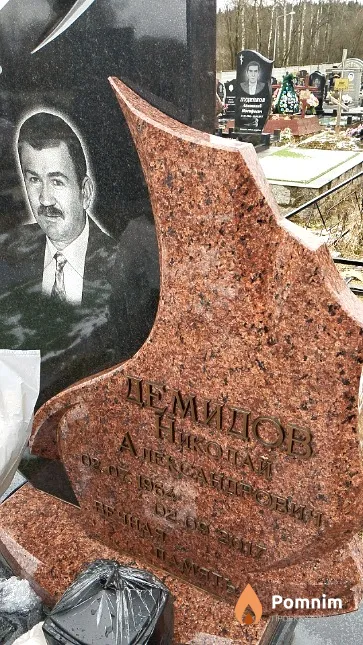 Демидов Николай Александрович