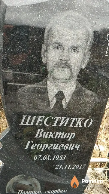 Шеститко Виктор Георгиевич