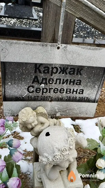 Каржак Аделина Сергеевна