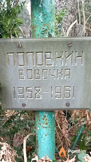 Поповнин Владимир