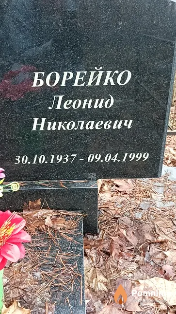 Борейко Леонид Николаевич