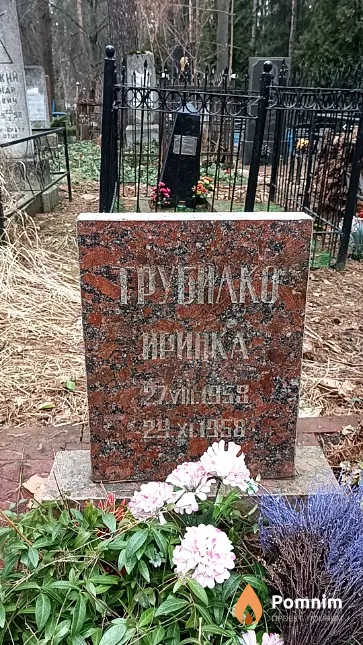 Трубилко Ирина