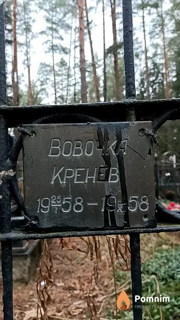 Кренёв Владимир